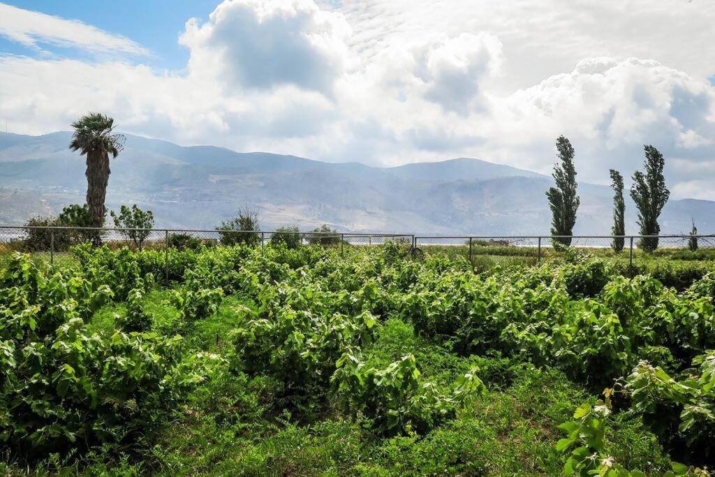 Villa Rania: Ευάερη Βίλα Με Θέα Τη Θάλασσα Ликсури Екстериор снимка
